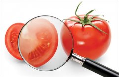 食品安全体系HACCP的规则与特点简介 食品安全体系HACCP的规则与特点简介